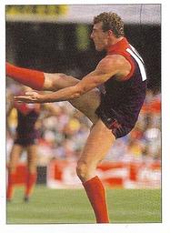 1990 Select AFL Stickers #169 Darren Bennett Front